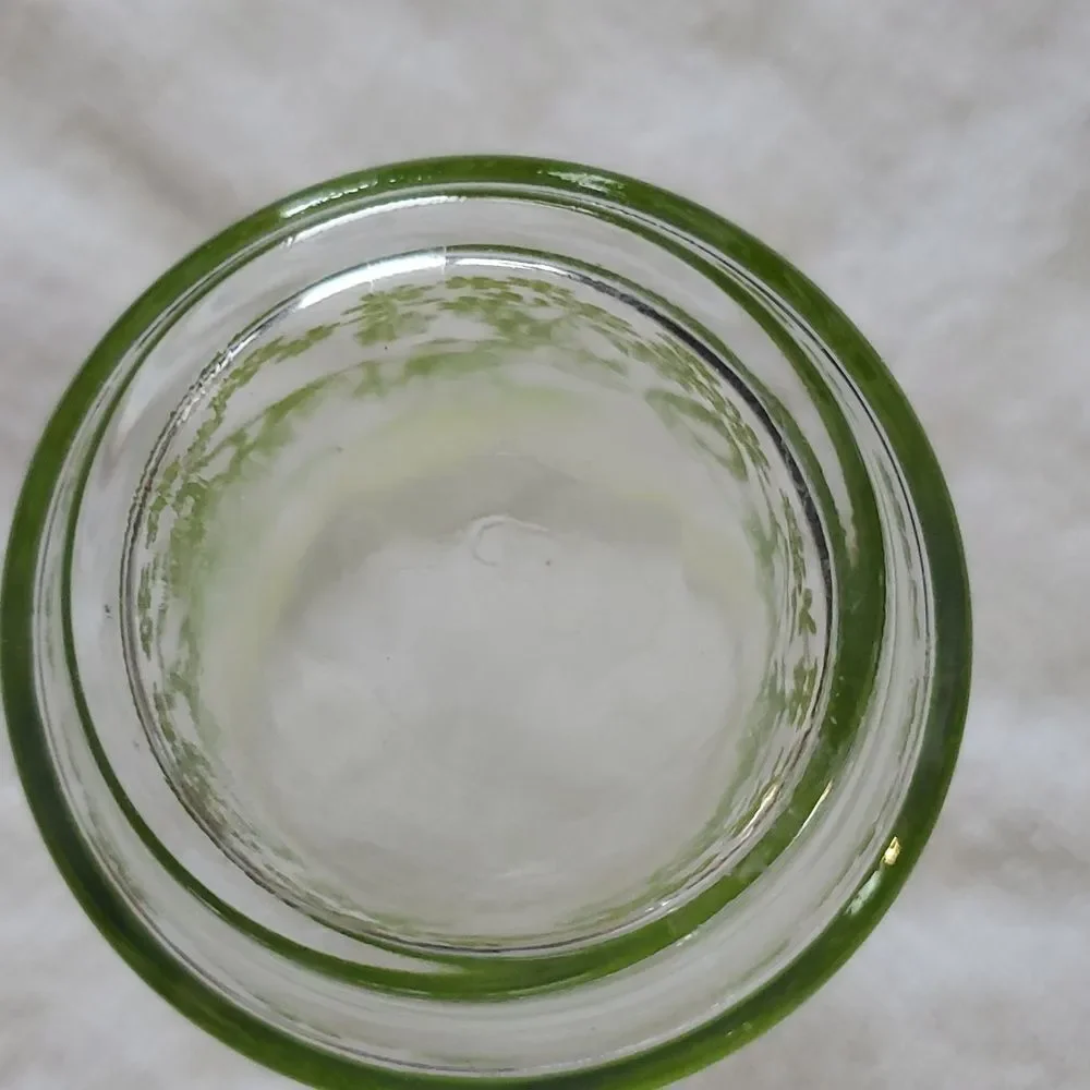 Drinking Fern Glass MCM Libbey Green Ginkgo Leaves 16ozs Highball vintage
